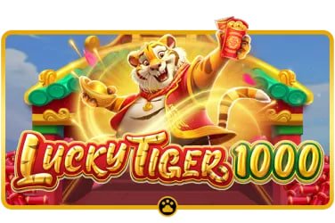 mobile betting guide overview on bdok with clear content cards